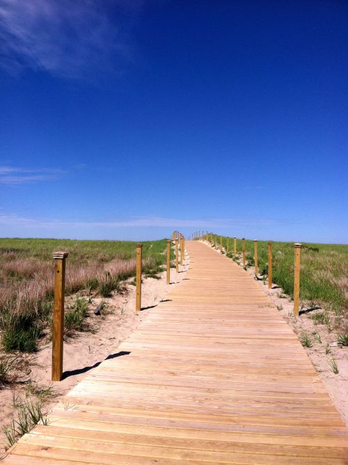 Cape Cod Beach