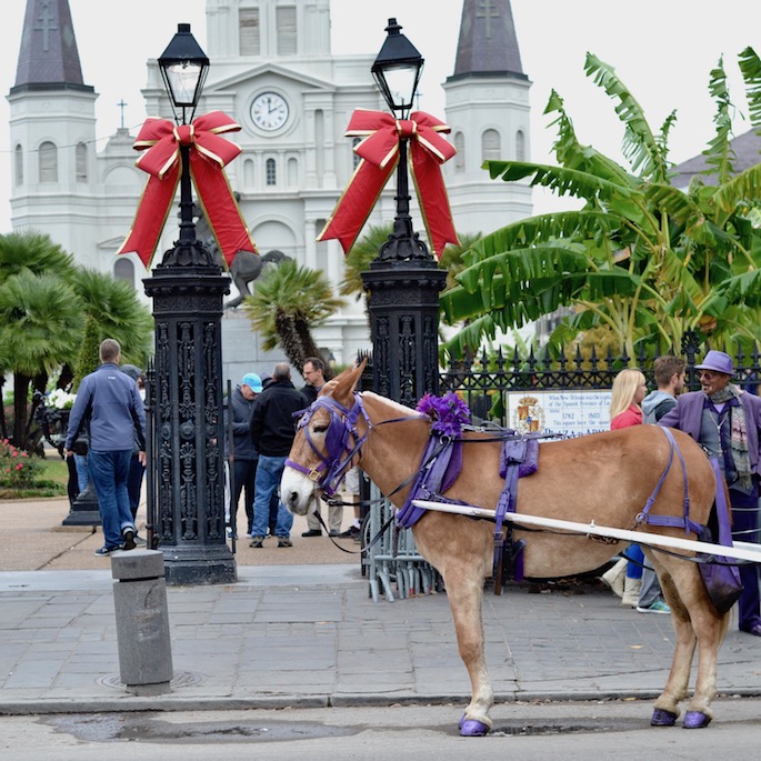 A Holiday Travel Guide To New Orleans - What to see, eat, drink and do during Christmas in Louisiana!