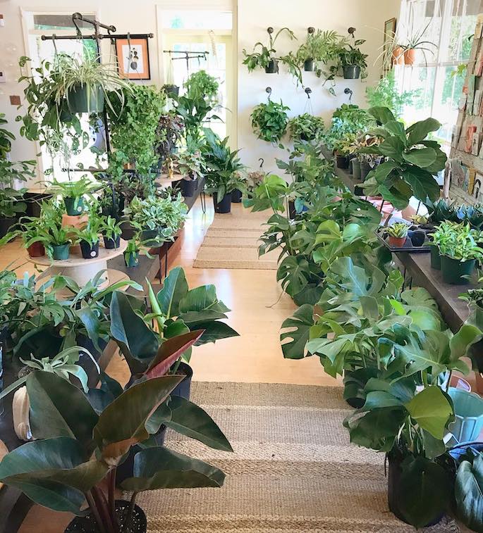 Baton Rouge Succulent Co