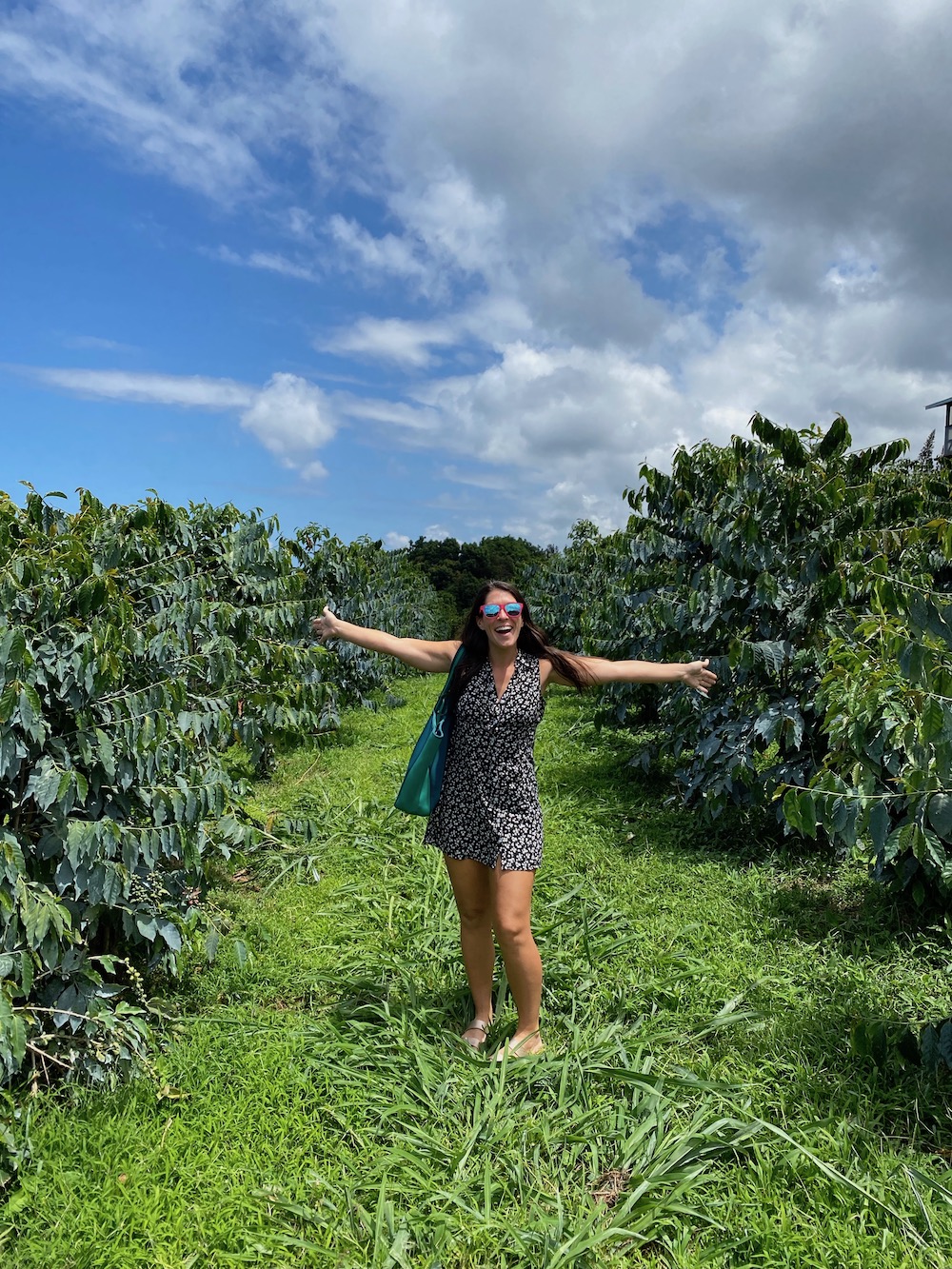 Heavenly Kona Coffee Farm