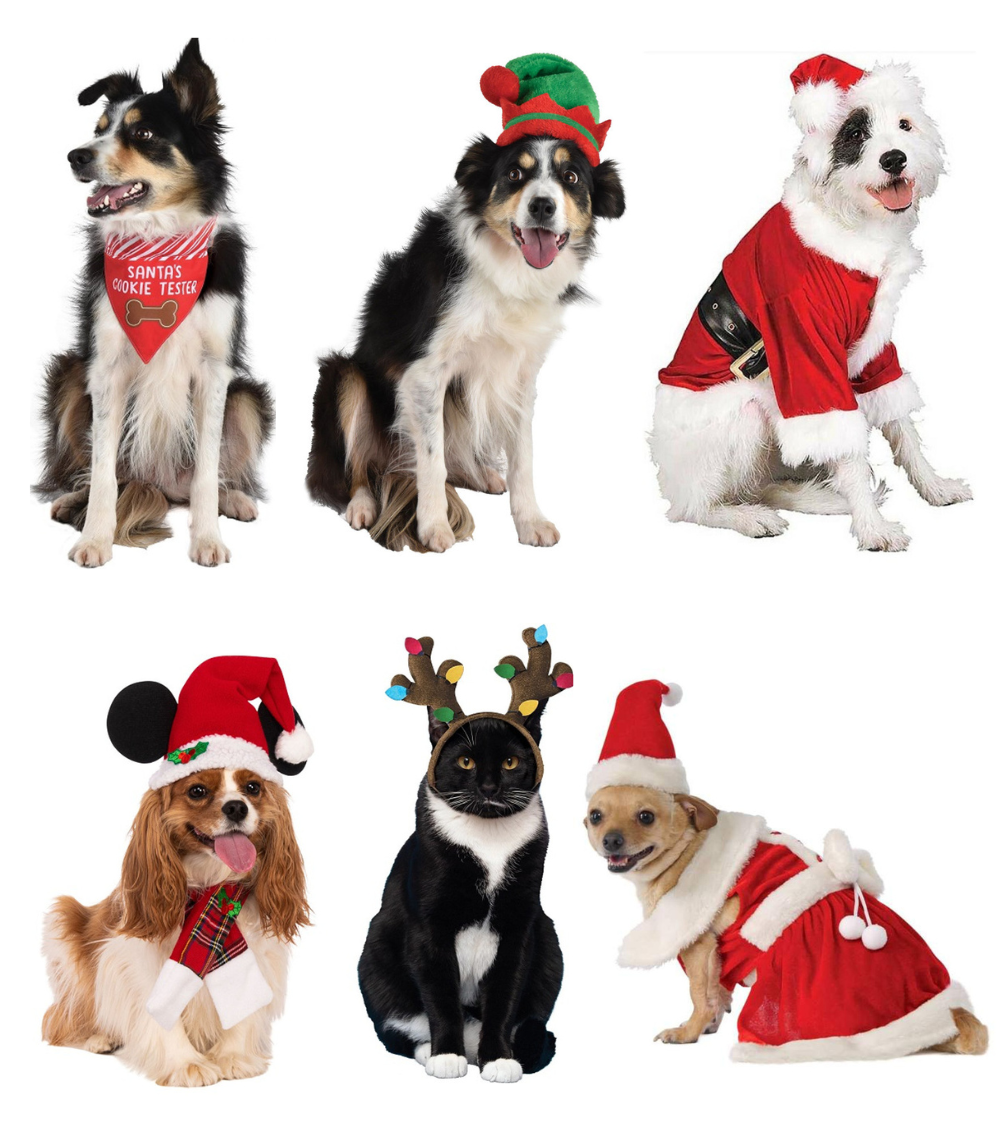 Party Time Baton Rouge Pet Christmas Costumes